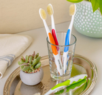 Mouthwatchers toothbrushes in assorted colors displayed in a glass cup on a bathroom 