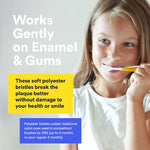 graphic showing Mouthwatchers toothbrush qualities 